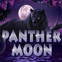 permainan slot Panther Moon provider Joker dari situs slot gacor MEONGTOTO